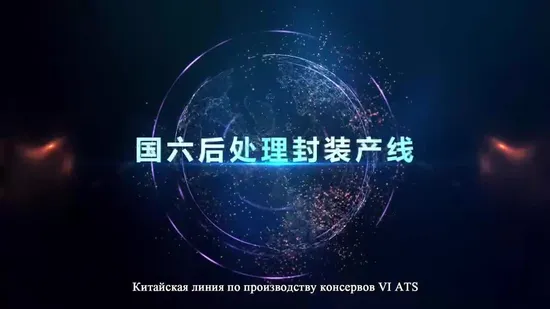 ディーゼルエンジン排気触媒アセンブリの酸化による洗浄 Doc Cdpf SCR Voc Substrate Catalyst