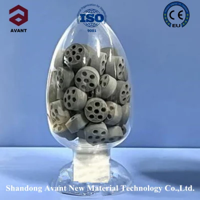 Avant ディーゼル酸化触媒工場中国パラジウム触媒水素化触媒高純度 4 穴円筒形水蒸気改質触媒 Am-2-283